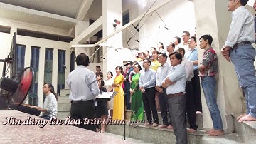 LỄ DÂNG TÌNH YÊU - St. Đinh Dũng & Đinh Công Huỳnh #LeDangTinhYeu  #ThanhCaKeSat #CaDoanCecilia