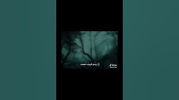 اسمع قران كريم راحه نفسيه #غزة_تموت_جوعاً #فلسطين #قران_كريم_ارح_سمعك_وقلبك #ستف