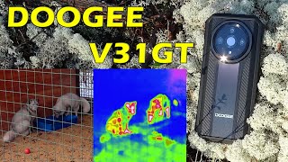 DOOGEE V31GT - отличный телефон для охоты, рыбалки, туризма. Защищённый смартфон с тепловизором