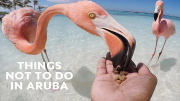 Where does Aruba get its drinking water?
