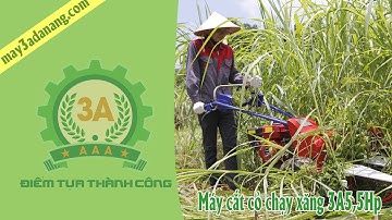 Máy cắt cỏ chạy xăng 3A5,5Hp || Máy cắt cỏ voi cho bò mini