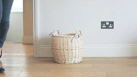 How to help your Cats get along ? FELIWAY Optimum