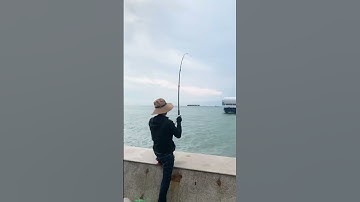 Trend Câu Cá Biển Vũng Tàu - Ai ra vũng tàu thì mang đồ câu nhé