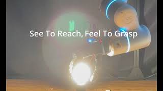 See to Reach, Feel to Grasp: Learning A Blind Grasp Reflex for Anthropomorphic Robotic Hands