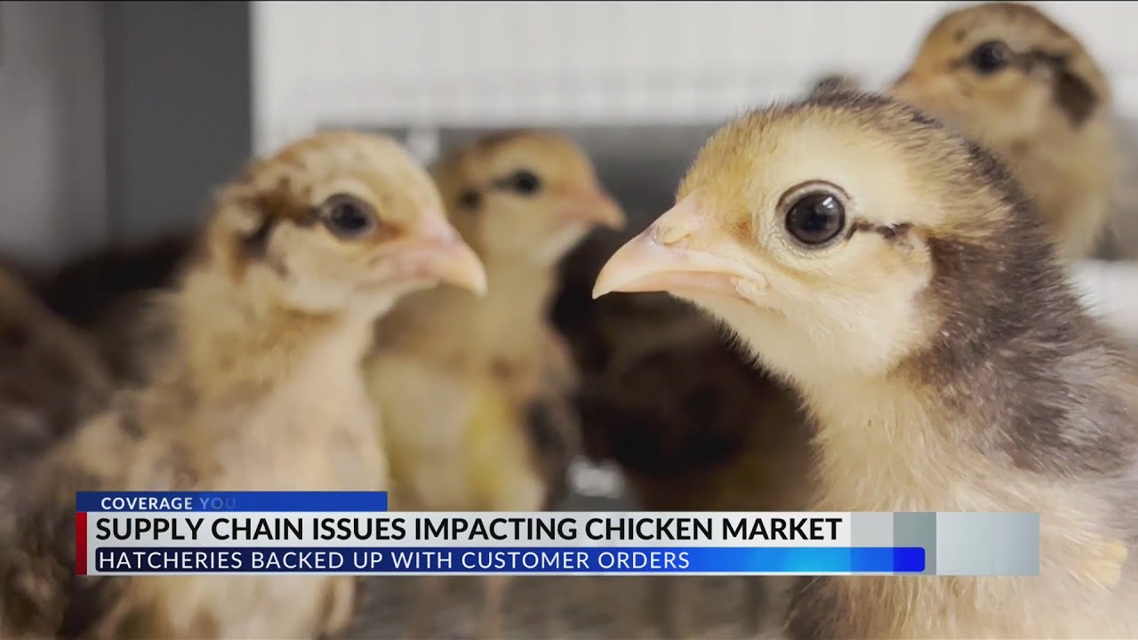 'The demand is almost higher than it was during covid' Supply chain