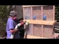 Compare Drill and Fill Wall Insulation Techniques