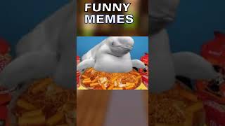 Rmemes Is So Funny Pt.2