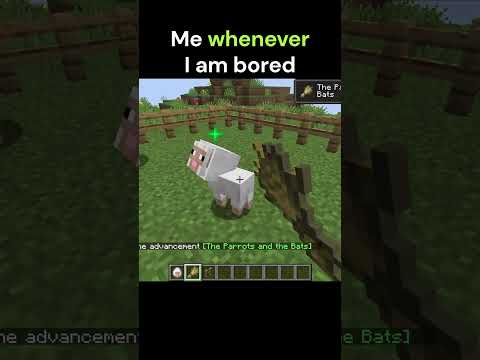Me whenever I'm bored