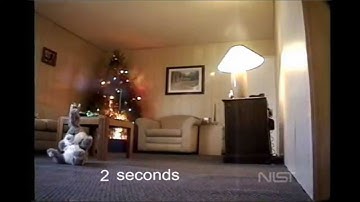 Sicurnet, Albero di Natale