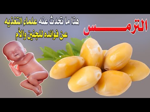 لن تصدق ماذا يفعل أكل الترمس للجنين والأم سبحان الله هذا ما يحدث للجنين بعد مضغ الترمس بلحظات 