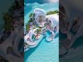 the best (part-3)✨#viral #nature #shortvideo #beautiful #adventure #place #plants #travel #explore