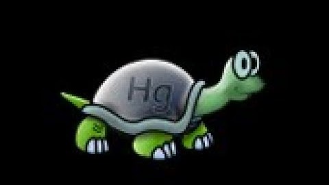 Basic Tutorial for TortoiseHG 4.6.1