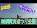 釣り動画ロマンを求めて 690釣目（横須賀海辺つり公園）
