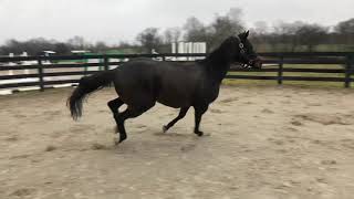 Download Lagu Keros, February 2020 MP3