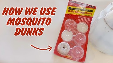 Mosquito Dunks - Great for Mosquitos and Gnats?