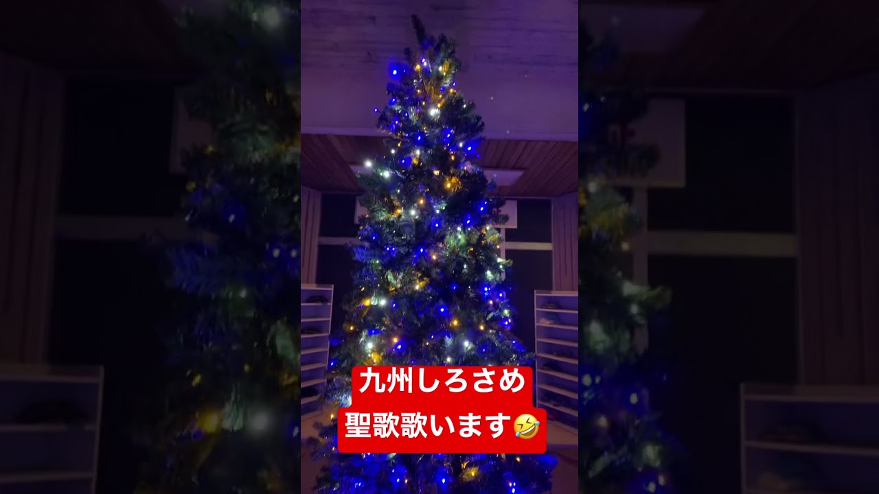 メリークリスマス 九州しろさめ Youtube