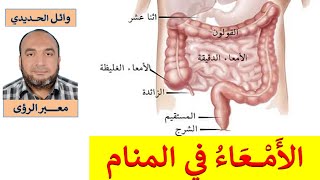 تفسير حلم الأمعاء والمصارين في المنام / للمفسر وائل الحديدي