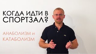 КОГДА идти в СПОРТ ЗАЛ??? АНАБОЛИЗМ и КАТАБОЛИЗМ.