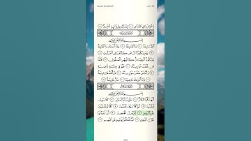 Daily Quran - surah At Takathur page 600 قرآن سوره التکاثر