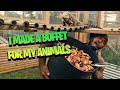 MADE A BUFFET FOR MY ANIMALS | THE REAL TARZANN