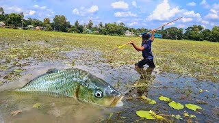 Amazing Daily Life Fishing Video In Water Really Best Teta Fishing Trap In Flood Water