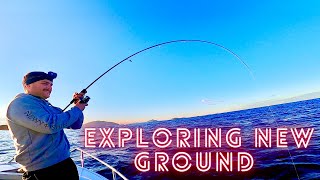 Exploring new ground | Ep.4 The Hunt for a BIG Inshore Snapper on lures | Snapper Fishing Australia