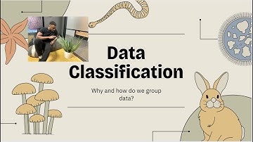 S3 Simplified  Mastering Data Classification