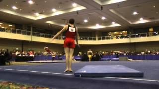 Robert Neff - Floor - 2014 Winter Cup Challenge Prelims