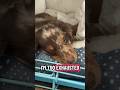 So sleepy
