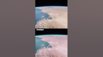 How do those with colour blindness perceive the Earth?#Shorts #ColourBlind #ColorBlind