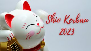 SHIO KERBAU 2023 ~ TAHUN KELINCI AIR |Banyak Peluang & Kestabilan Finansial