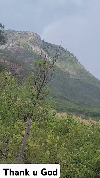 #farmerlife@eyeryone  everywhere#reggae