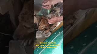 Олешки Цюрупинск потоп наводнение затопление