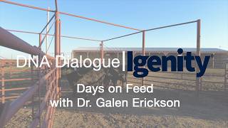 Days On Feed With Dr Galen Erickson