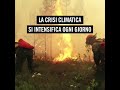 La crisi climatica è qui, ora