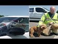 Firefighters Save Dog Trapped In Scorching Hot Car During Heatwave