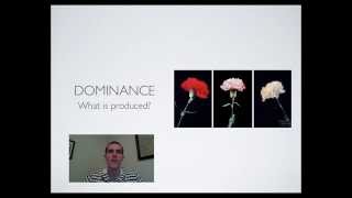 Complex Inheritance