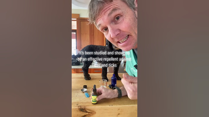 Avoid Insecticides: Natural Flea and Tick Spray Safe for Dogs and Cats