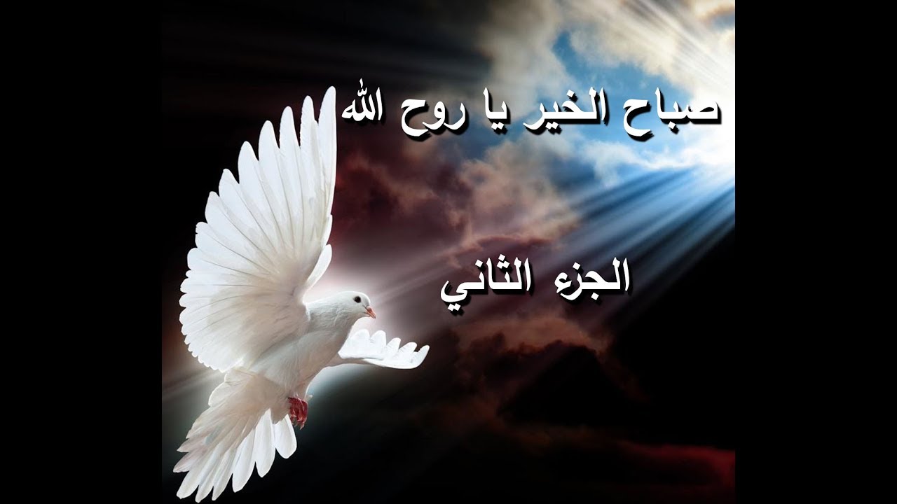 صباح الخير يا روح الله   الجزء االثاني