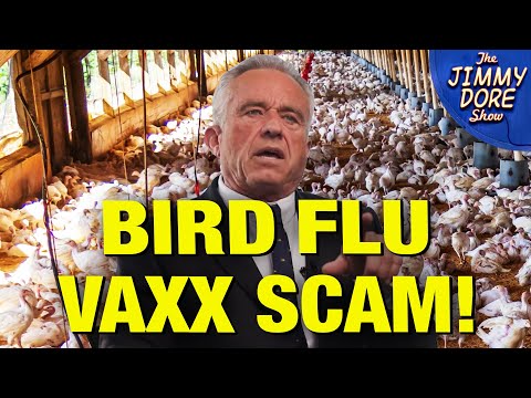Thumbnail for Bird Flu Vaxx Is “LEAKY” & Dangerous Warns HHS Secretary RFK! w/ Dr. Pierre Kory