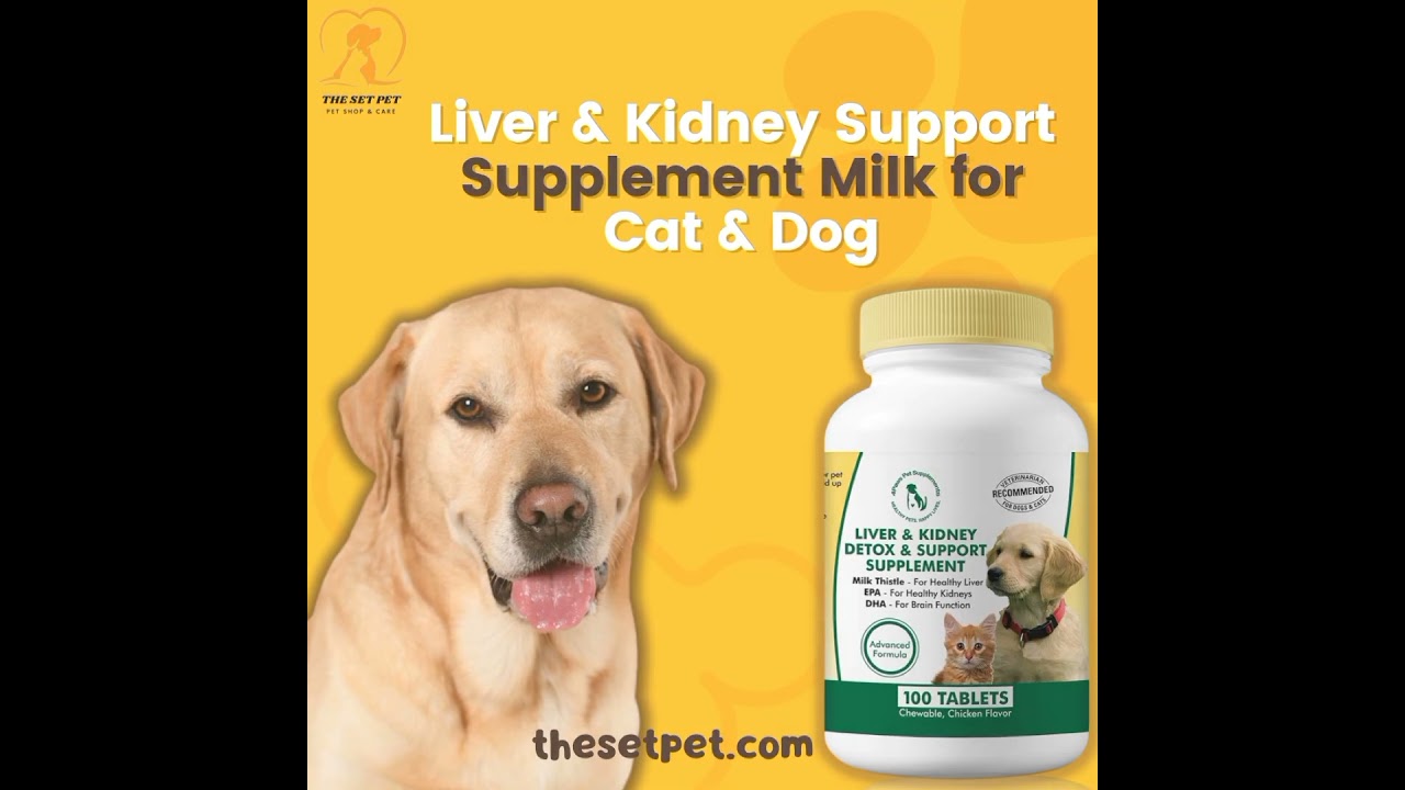 Best Liver & Kidney Support Supplement for Pets 