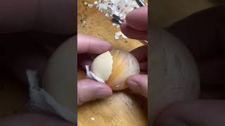 Cảnh nổi bật từ buổi phát trực tiếp