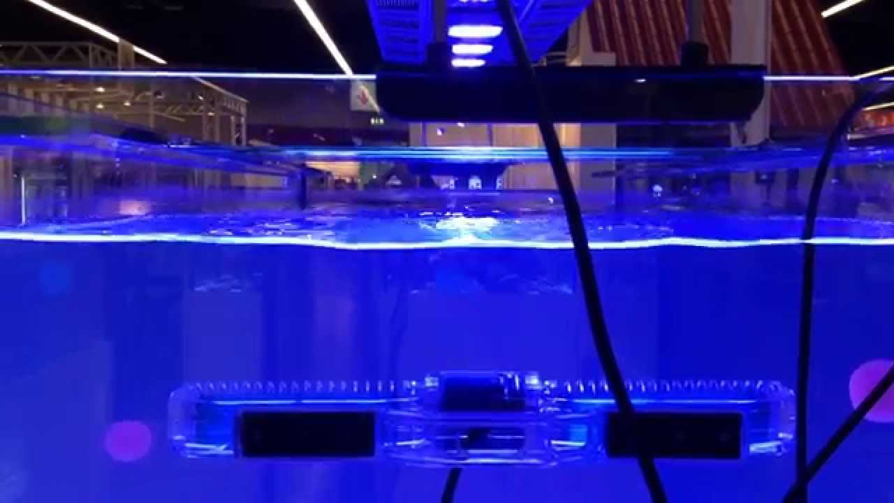 Aquarium goods] Maxspect Gyre / マックススペクト ジャイル - YouTube
