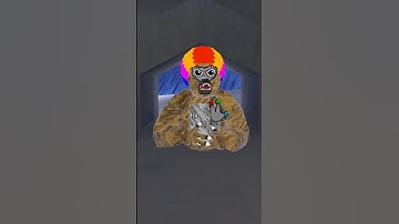 What is my Color Code?
