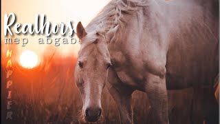 Realhorse / Equestrian MEP Abgabe ~Happier🙂