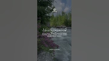 تلاوة خاشعة بصوت جميل ياسر الدوسري