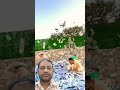 I love allah #unfrezzmyaccount #account #funny #love #foryou #shortvideo #trending #islamicvideo
