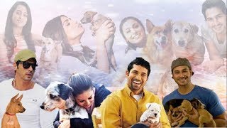 15 Indian celebrities, who adopted stray (Desi or Pariah) Dogs by Dog Breed Info Share 3,010 views 5 years ago 7 minutes, 19 seconds