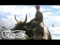 Racing Giant Yaks in Mongolia