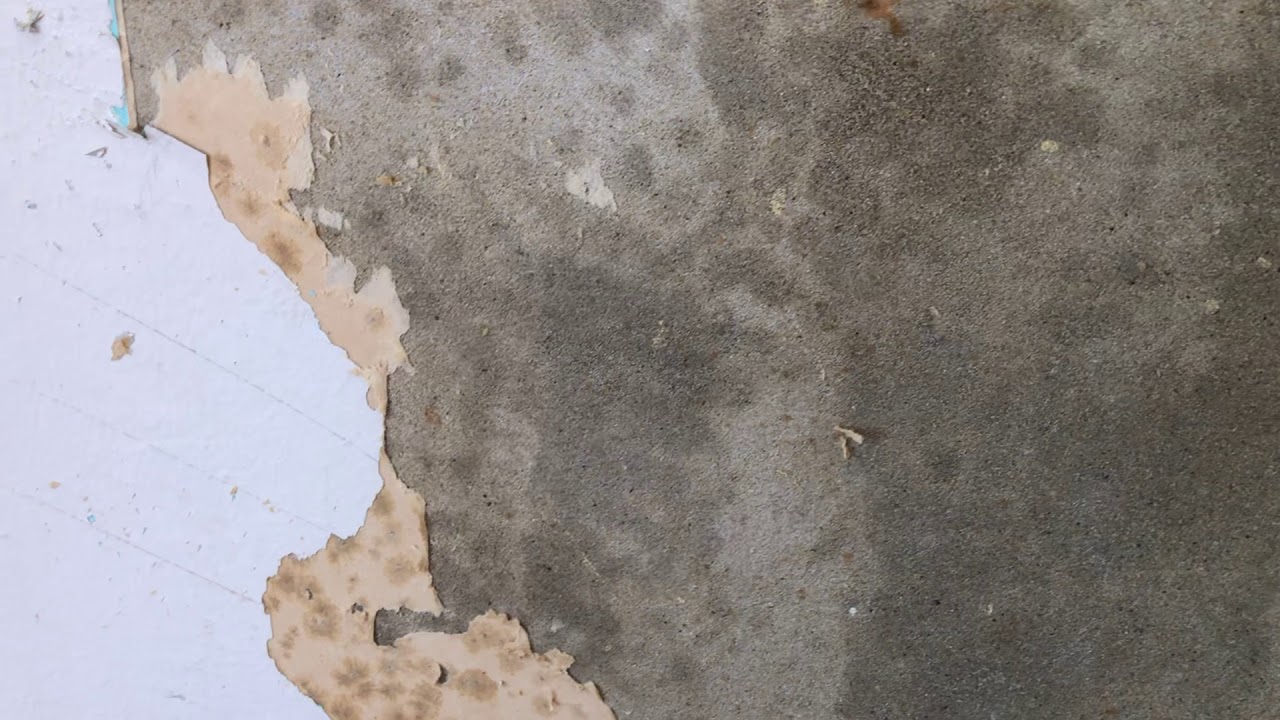 how to remove wallpaper that was painted over YouTube how to remove wallpaper that was painted over YouTube